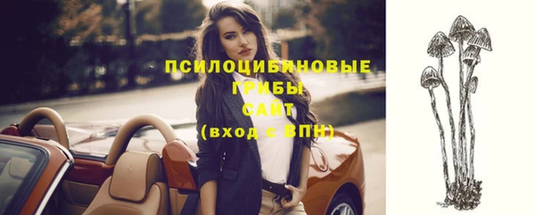 стаф Баксан