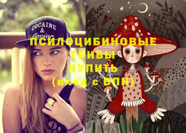 стаф Баксан